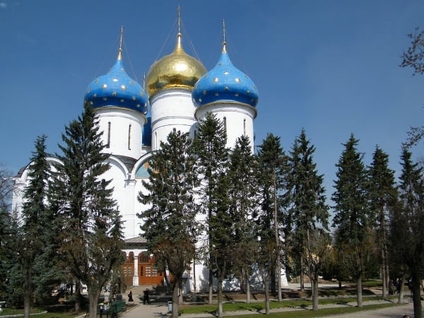 Дератизация в Сергиевом Посаде